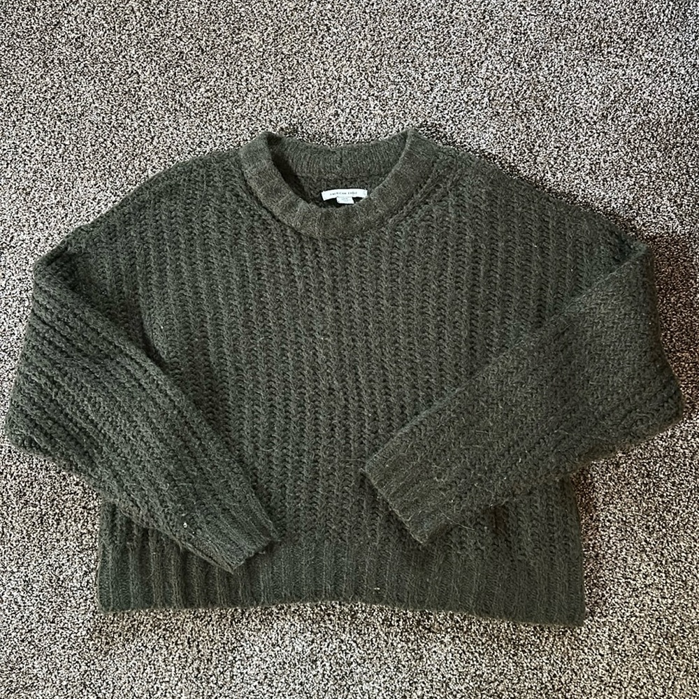 AE cropped chunky knit sweater